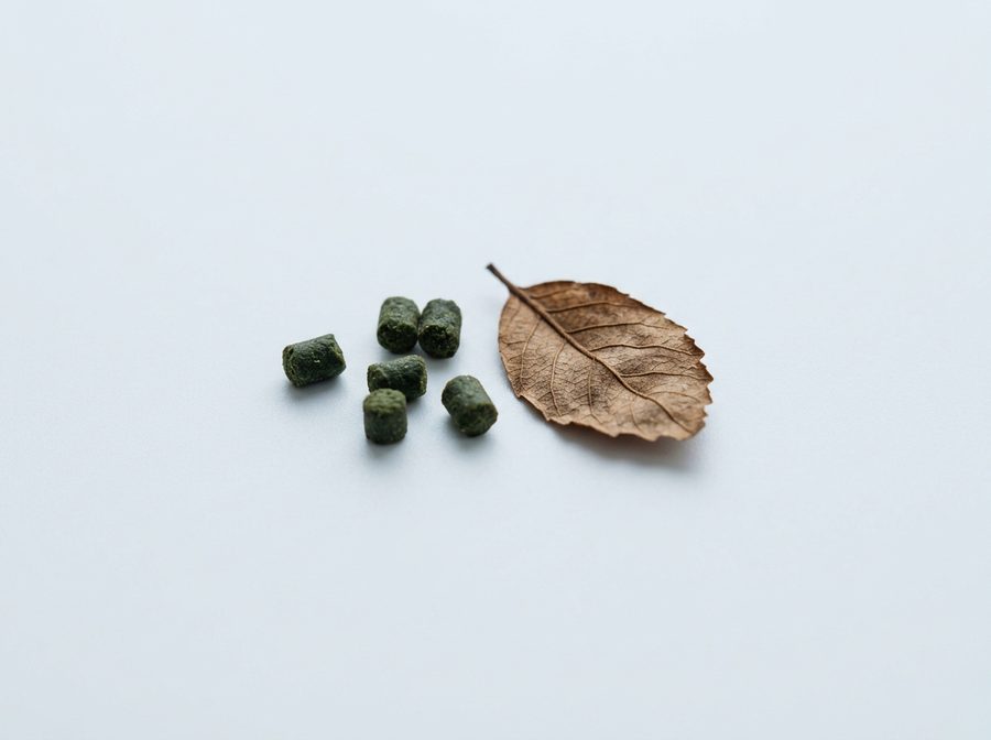 Petites pastilles et feuilles séchées pour crevettes d'aquarium
